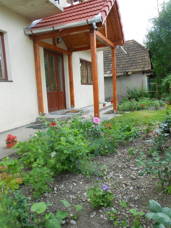 Gold Fayen House Cheile Turului Lägenhet Tureni Exteriör bild